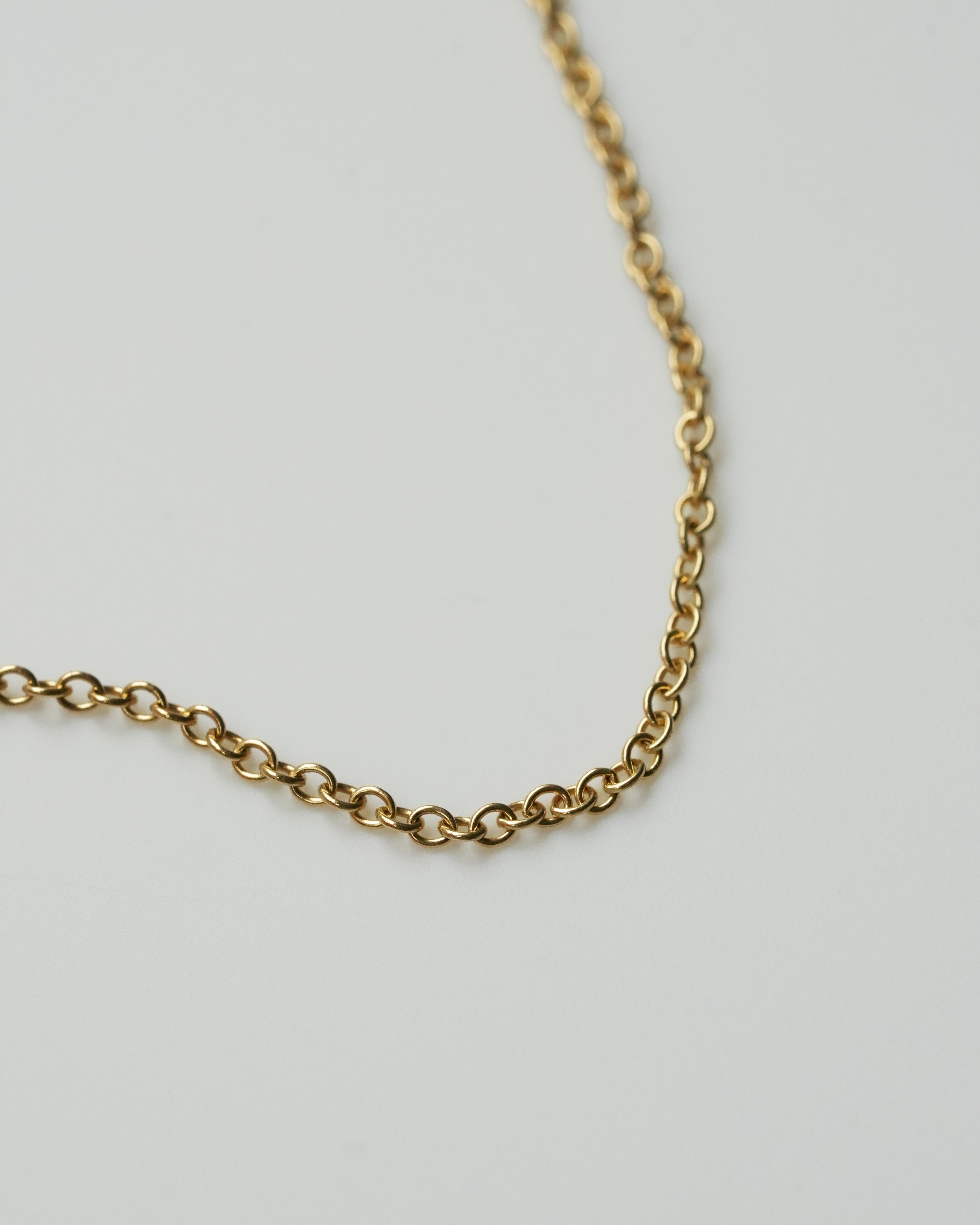 スクリューチェーン NEEDIS 46cm ネックレス Necklace – NEEDIS | ニーディーズ