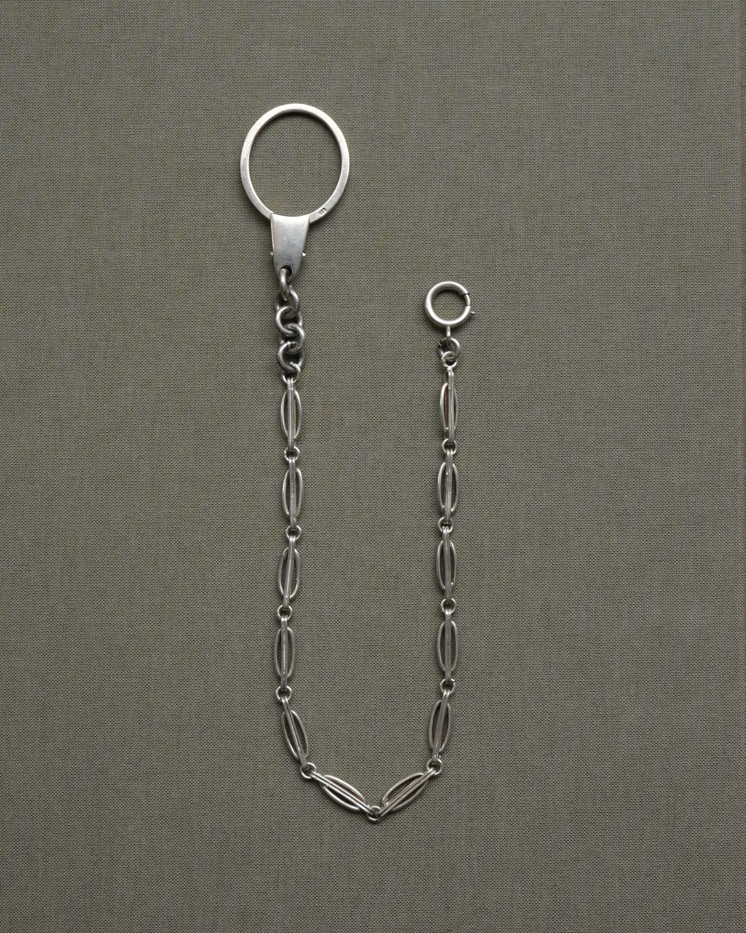 Antique Albert Chain 1880s ~ 1900s & Vintage Clasp